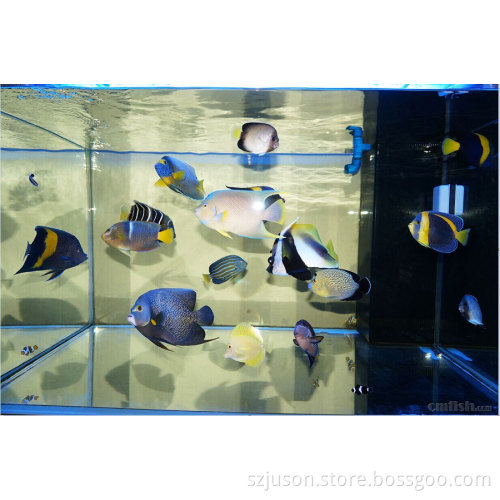 Best Price Fish Tank Led Aquarium Light for seawater aquarium tank passed 7 authentications